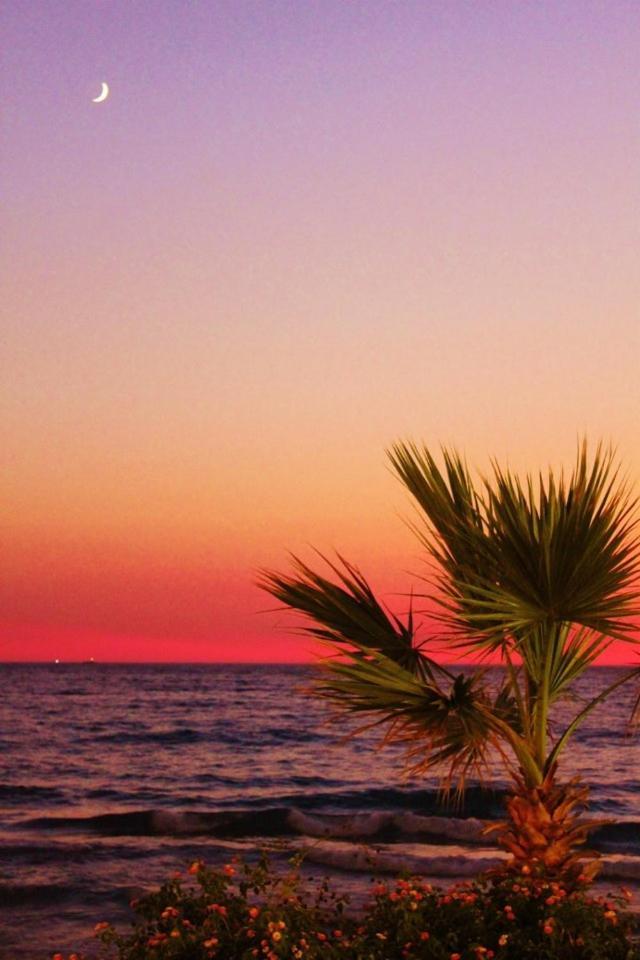 Ladies Beach Hotel كوشاداسيه المظهر الخارجي الصورة